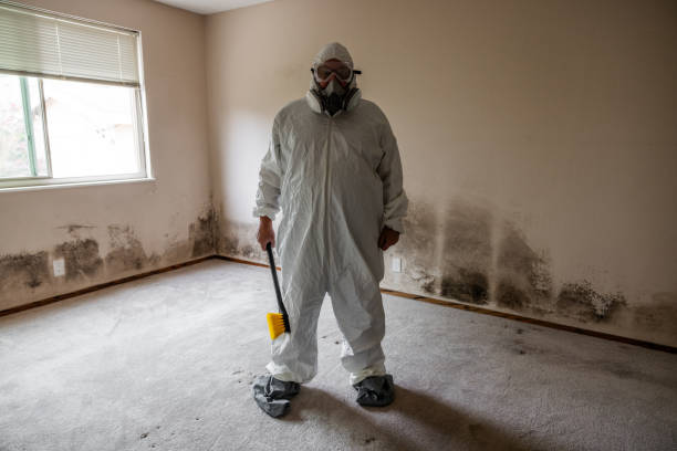 Trusted Jamestown, TN Mold Remediation Experts